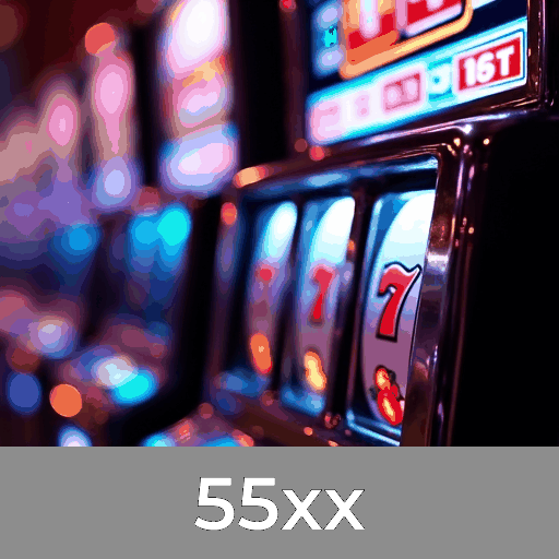 55xx: A Plataforma de Apostas Segura com Serviços Profissionais